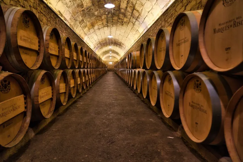 La inteligencia del subsuelo: bodegas, fresqueras y espacios hipogeos como respuesta bioclimática para la finca contemporánea