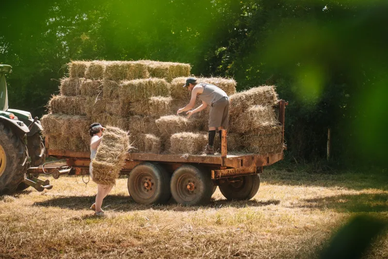 Construir con lo que da la tierra: guía para elegir materiales sostenibles según el clima de tu finca