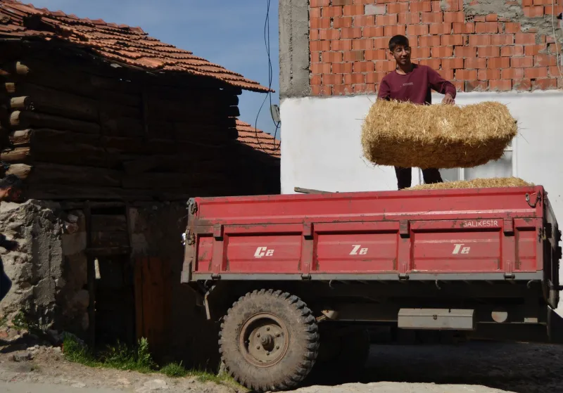Muros que respiran: el retorno de la paja y la cal como materiales de futuro en las fincas del interior