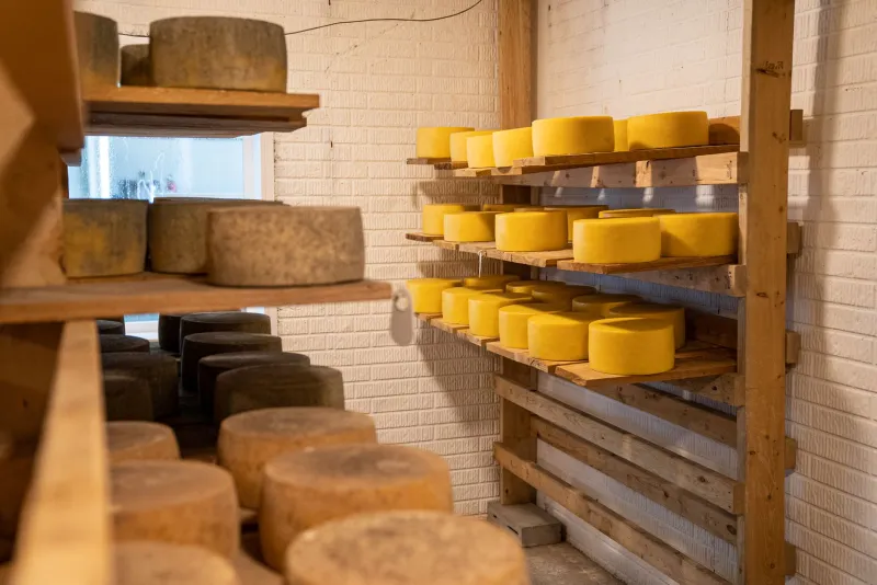 El obrador oculto: diseñar queserías y espacios de fermentación que nacen de la propia arquitectura de la finca