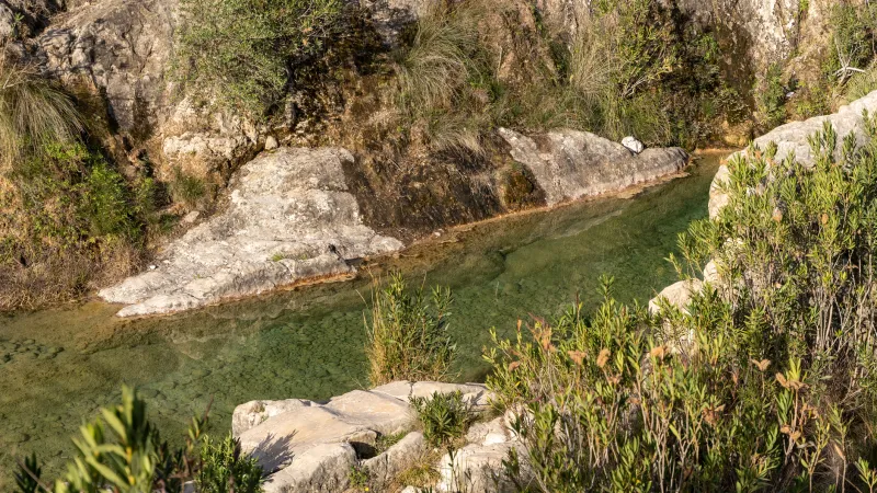 Agua viva: piscinas biológicas en fincas rurales españolas donde la naturaleza filtra y el diseño deslumbra