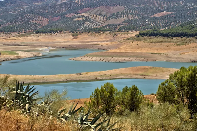Modelar la tierra para retener la lluvia: curvas de nivel, swales y lagunas que transforman fincas áridas en paisajes fértiles