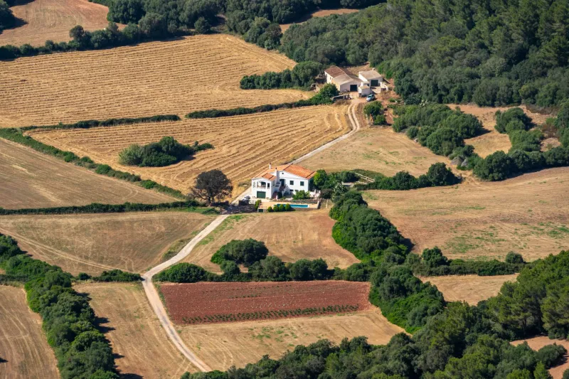 La arquitectura del silencio: estrategias bioacústicas para convertir la finca rural en un refugio sensorial