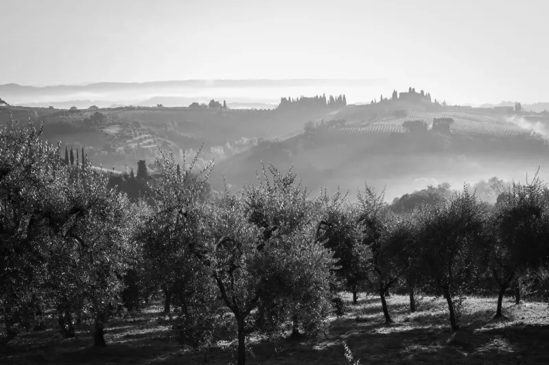 Escuchar la finca: el silencio y el paisaje sonoro como dimensiones del diseño rural sostenible