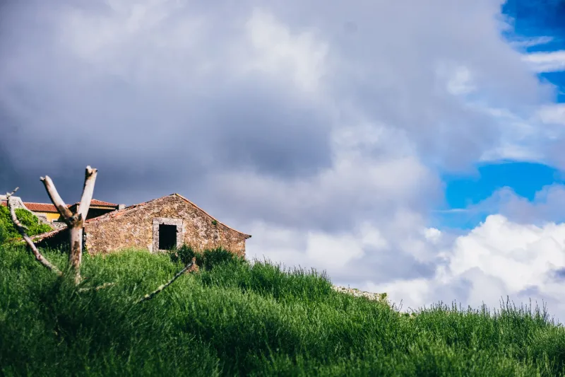 Huecos que filtran el mundo: diseño acústico biofílico para fincas donde el silencio es el lujo mayor
